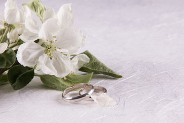 Similar image 13024960