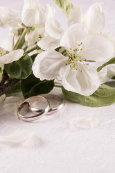 Similar image 13024962