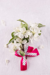 Similar image 13024963