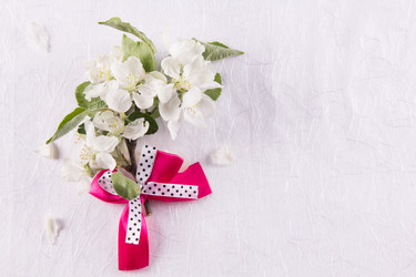 Similar image 13024964