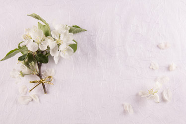 Similar image 13024965