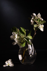 Similar image 13024966