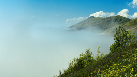 Similar image 13028251