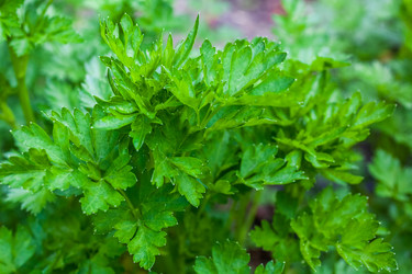 Similar image 13061579