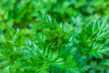 Similar image 13061581