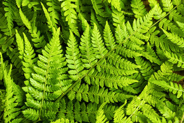 Similar image 13014457