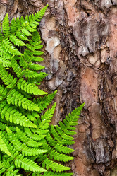 Similar image 13014463