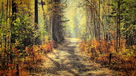 Similar image 13023861