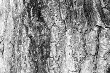 Similar image 13060633