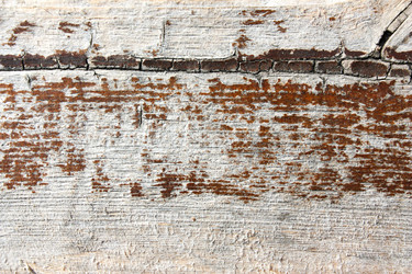 Similar image 13060648