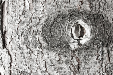 Similar image 13060650