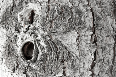 Similar image 13060652