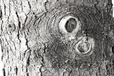 Similar image 13060654