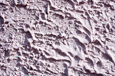 Similar image 13060676