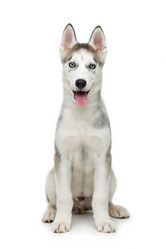 Similar image 13036170