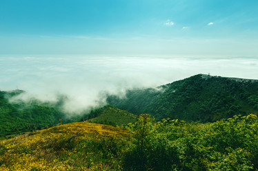 Similar image 13025063