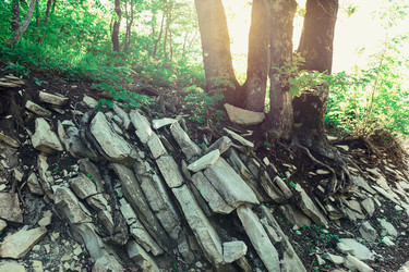 Similar image 13025080