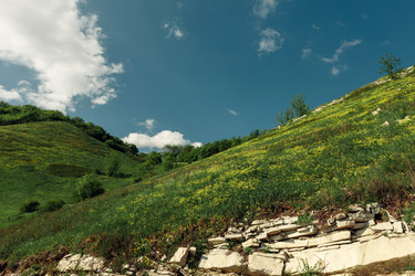 Similar image 13025082