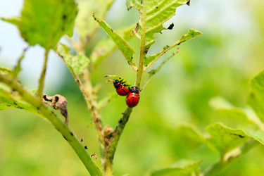 Similar image 13024126