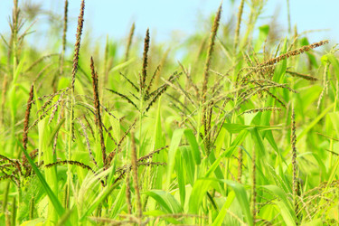 Similar image 13024128