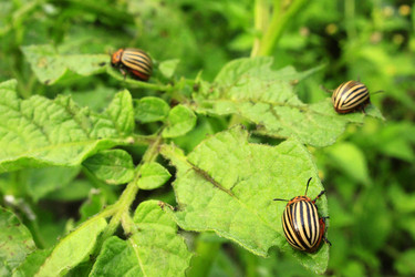 Similar image 13024133