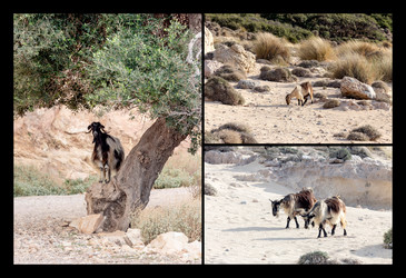 Similar image 13013463