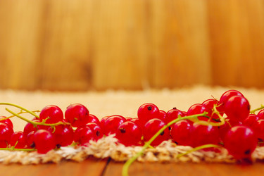 Similar image 13024144