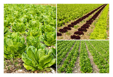 Similar image 13013391