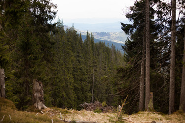 Similar image 13016770