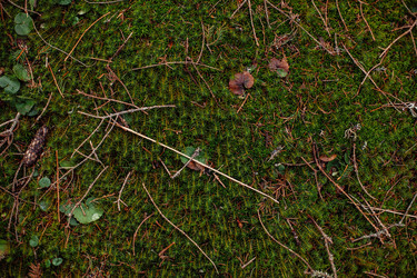 Similar image 13016773