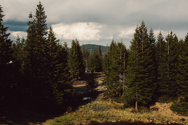 Similar image 13016775