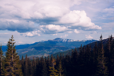 Similar image 13016776