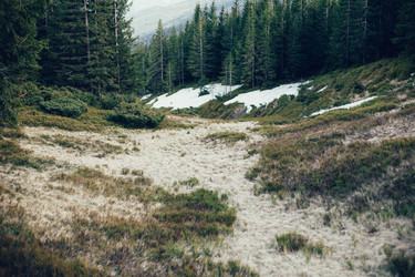 Similar image 13016777