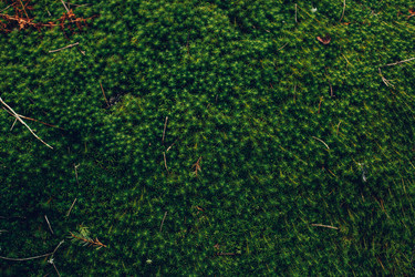 Similar image 13016779