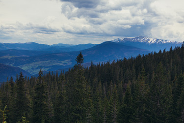 Similar image 13016781