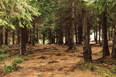 Similar image 13016782