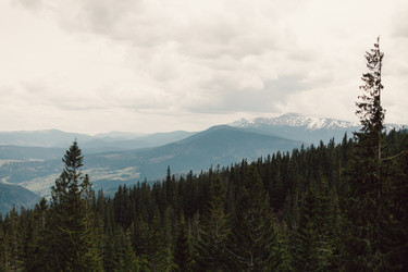 Similar image 13016783