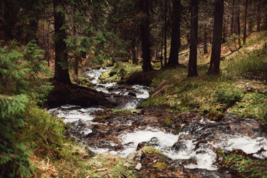 Similar image 13016784