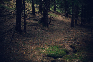 Similar image 13017118