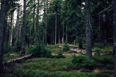 Similar image 13017119