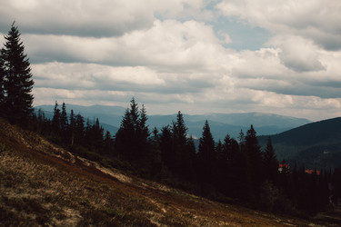 Similar image 13017121