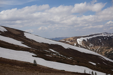 Similar image 13017124