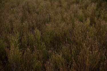 Similar image 13017128