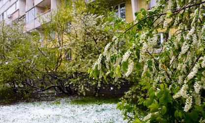 Similar image 13013410