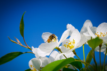 Similar image 13023862