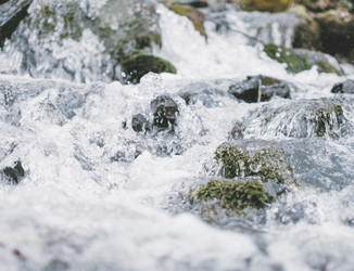 Similar image 13033819