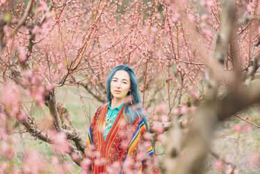 Similar image 13033822