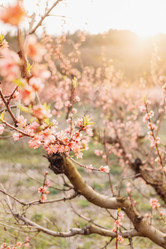 Similar image 13033823