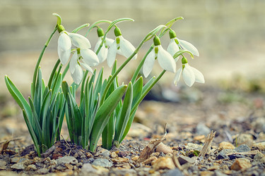 Similar image 13013252