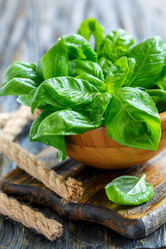 Similar image 13033474